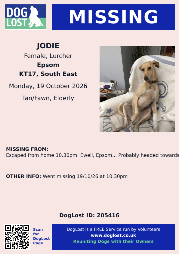 millypod1's tweet photo. 🆘19 OCT 2026 #Lost Jodie #ScanMe
ELDERLY Lurcher Female
Escaped from home 10.30pm.
#Ewell #Epsom #Surrey #KT17
Probably headed towards Priest Hill
https://t.co/jyYOz72AcG https://t.co/rZpdgsOb80