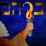 Photo by Rabbi David Etengoff (@Torahtech613)