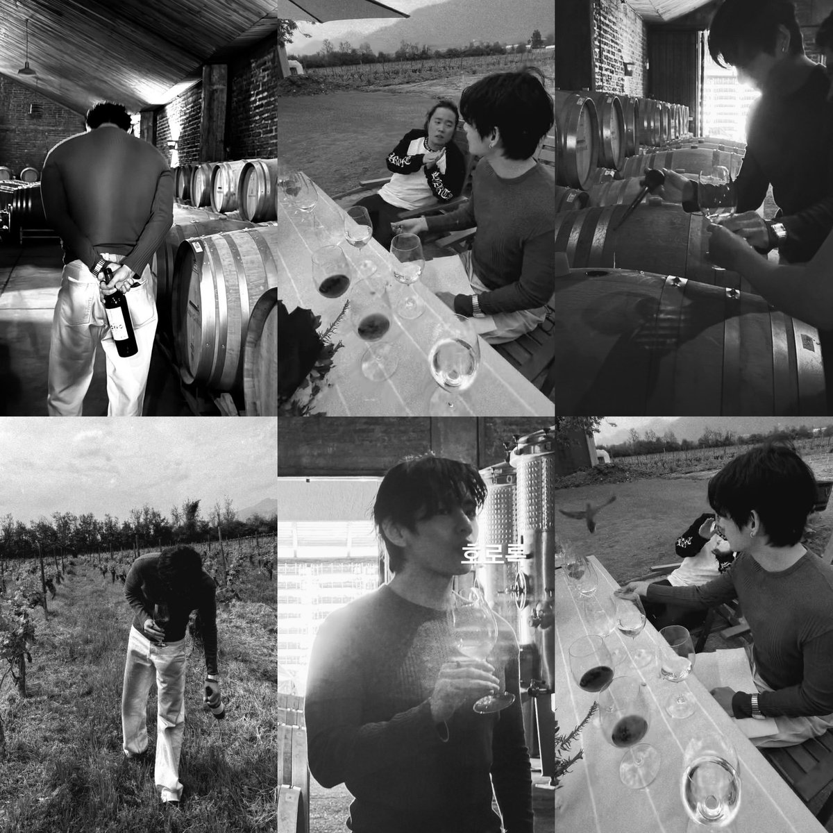 gojotaey's tweet photo. so taekook &amp; hobi went for lunch at that burger place before visiting vineyard, and jungkook was busy taking so many candid boyfriend pics of tae. explains how his gallery is full of tae &amp; he was spamming tae's pics from their peru date. jungkook is that type of boyfriend 😭 https://t.co/lpN88MCpuR