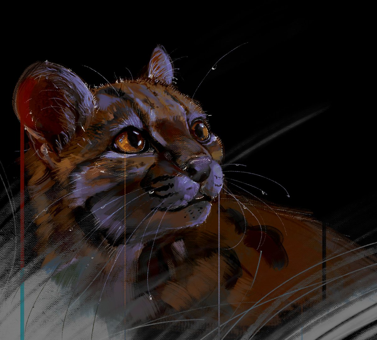 bezhevitsa's tweet photo. #Leopardus_tilcayo #Leopardus #tilcayo https://t.co/MG301txV6r