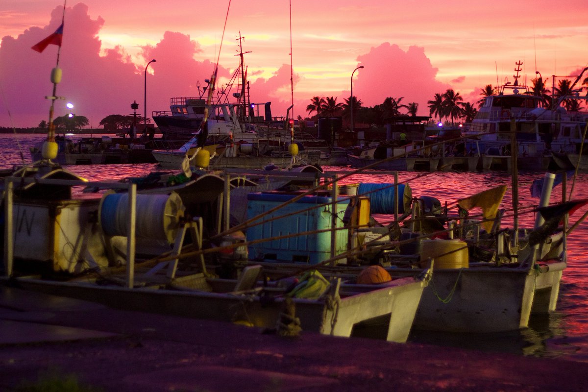 FAOPacific's tweet photo. As climate change warms up the 🌊,Pacific tuna catches could reduce by about 20%, costing around USD 90m a year.
Tuna feeds families and drives island economies.
At the #SIDSSolutions, @FAO will call for investments to strengthen fisheries management and adapt to climate change. https://t.co/MDNpRmBFH3