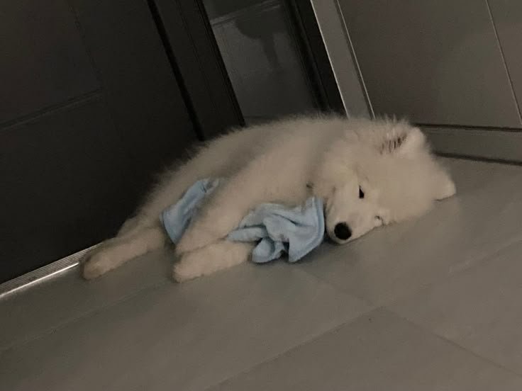 extrashotlatte's tweet photo. GOOD NIGHT 😴 https://t.co/S8A6UBcOxL