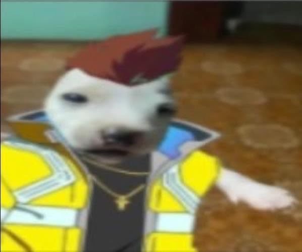 Booker_VT tweet picture