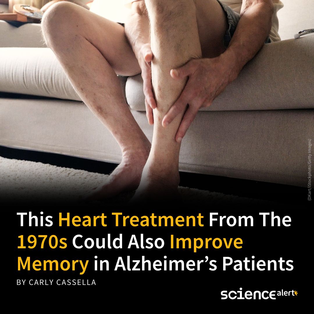 ScienceAlert's tweet photo. Squeezable leg cuffs, timed to your heartbeat. Seventy-eight percent of early Alzheimer's patients improved after six months. The reason may come down to blood flow — and how little the brain gets. 🔗 https://t.co/vbd8dLFuIy https://t.co/1tkQ31jbqe