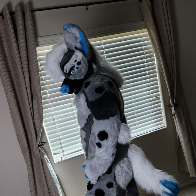 RenoHyena's tweet photo. Eyeing up my next prey~ https://t.co/pGgoEtEFGS
