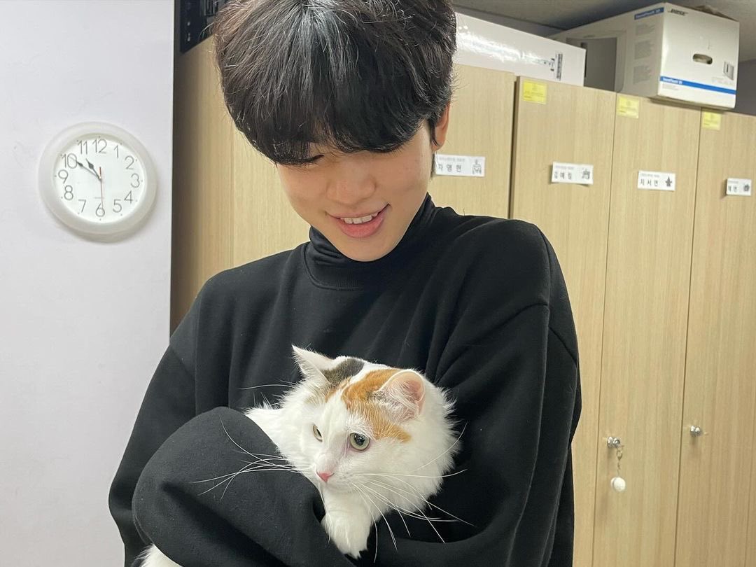 angeofice's tweet photo. ⠀ׅ⠀⠀𖹭  # mëular ━━┄ㅤ君を愛し ! 🤍
# 🫙’ 𝗌𝗈𝗎𝗅𝗆𝖺𝗍𝖾𝗌. ︶⏝ㅤ⊹
————————————————

Qué iba a saber yo que te iba a encontrar, entre el cielo gris y la soledad.
— milo j. https://t.co/PocpiRiYxk