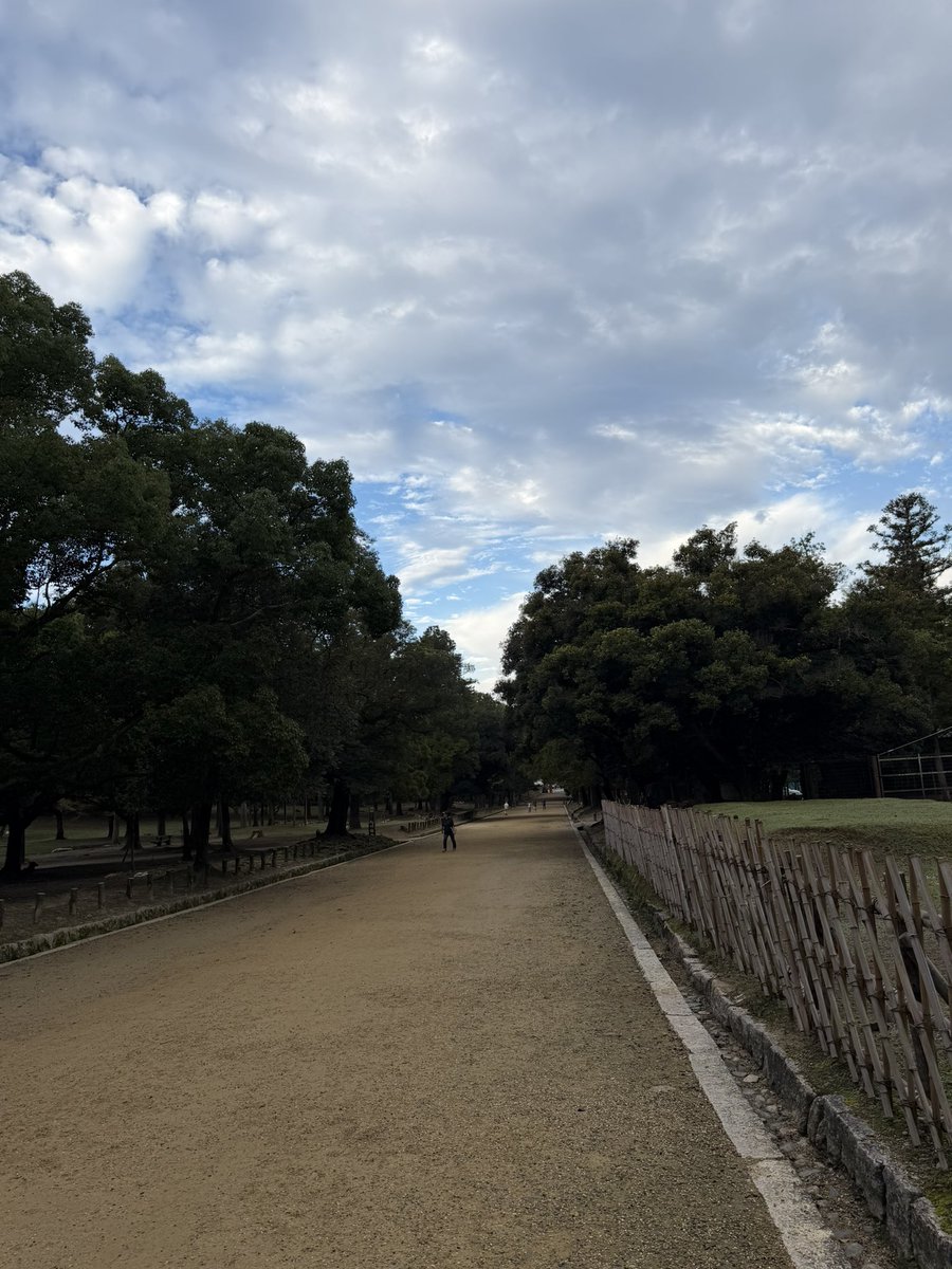 narashika_lover's tweet photo. ☘️イマシカ 4 🦌

紅葉は少しずつ進んでますね🍁😌

今日の奈良はジメジメして暑いです💦
暑さ対策も忘れずに☘️😊 https://t.co/wBPp3Wifgs