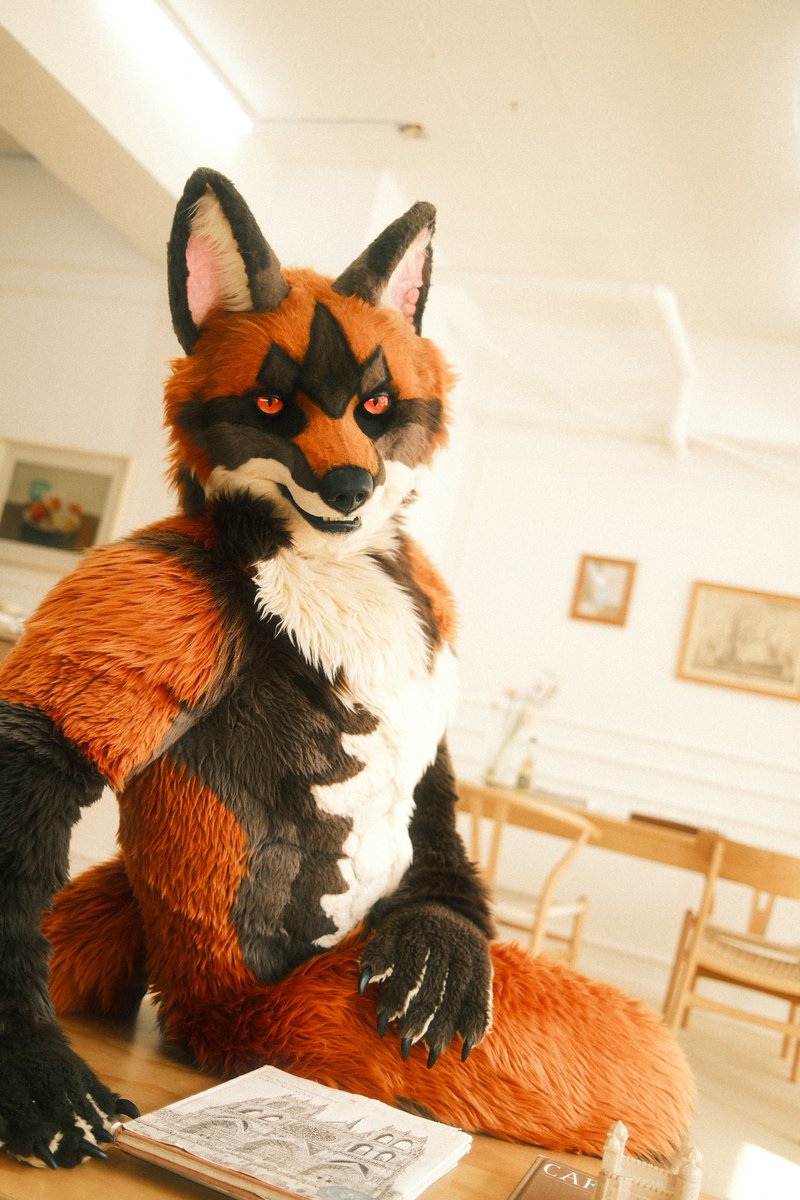 gas6723's tweet photo. 너를 유혹할거야 🦊
#FursuitEveryday https://t.co/Mzicfu61tE