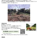 Photo by yanase hiroichi『虫とマンガと日本人』『アンパンマンと日本人』『国道16号線』 (@yanabo)