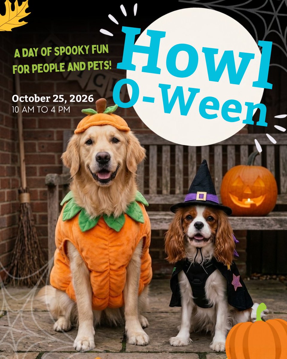 DaveOzubko's tweet photo. Celebrate Howl-O-Ween with the Edmonton Humane Society on October 25, from 10 AM to 4 PM! Enjoy a free, family- and pet-friendly event while supporting animals in need. Consider donating pet toys or non-perishable pet supplies to help animals in care. https://t.co/FGTiZpL2E9