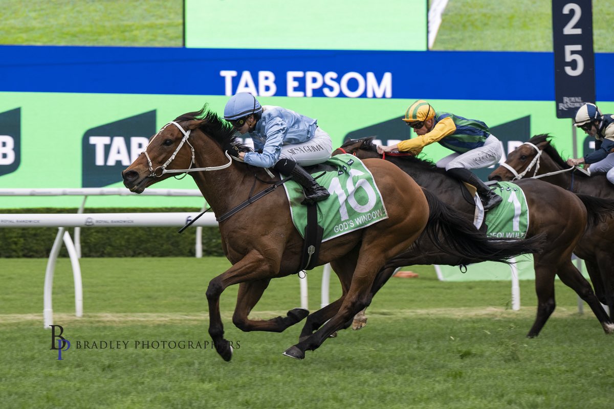 cwallerracing's tweet photo. 🌍 WHAT’S IN A NAME WEDNESDAY 🌍

God’s Window (Dubawi x Perfect Clarity 21 G) 

A name with a view! 👀

God’s Window is a breathtaking location in South Africa, perched high above the Lowveld, where on a clear day you can see all the way across to Mozambique. 

With his dam named Perfect Clarity, it seemed only fitting that he take his name from a place known for its spectacular views and far-reaching horizons.

A name as special as the horse himself!