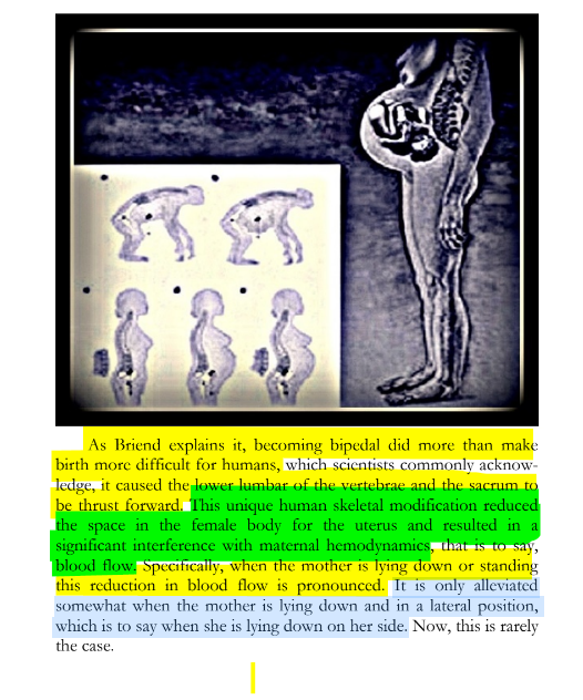 sillymickel's tweet photo. *PRODIGAL HUMAN: The Descents of Man* (2016) by Michael Adzema. Ch 4, p. 31
🧵Click panel below for Thread, complete book
or read/dwl book at blog: https://t.co/H6nTs2GQbP
🧵👇💡📚💙 #PH 🧟♂️ #ProdigalHuman🧟♂️ #PHCH4📖 #TruthWarriors ❕#anthropology🐵 #psychology ☮️ #devolution🐵 #Patriarchy 🧟♂️ #Civilization 🧟♂️ #birth 🐉 #Primal ☮️ #psychohistory ☮️ #Consciousness 💡 #Culture 🧟♂️ #perinatal 🐉 #RainbowWarriors 🦋 #NoKings 🚫👑