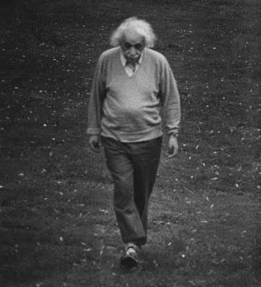 OutlawsPoetic's tweet photo. “A calm and modest life brings more happiness than the pursuit of success combined with constant restlessness.”

- Albert Einstein https://t.co/HgLzJiUOtF