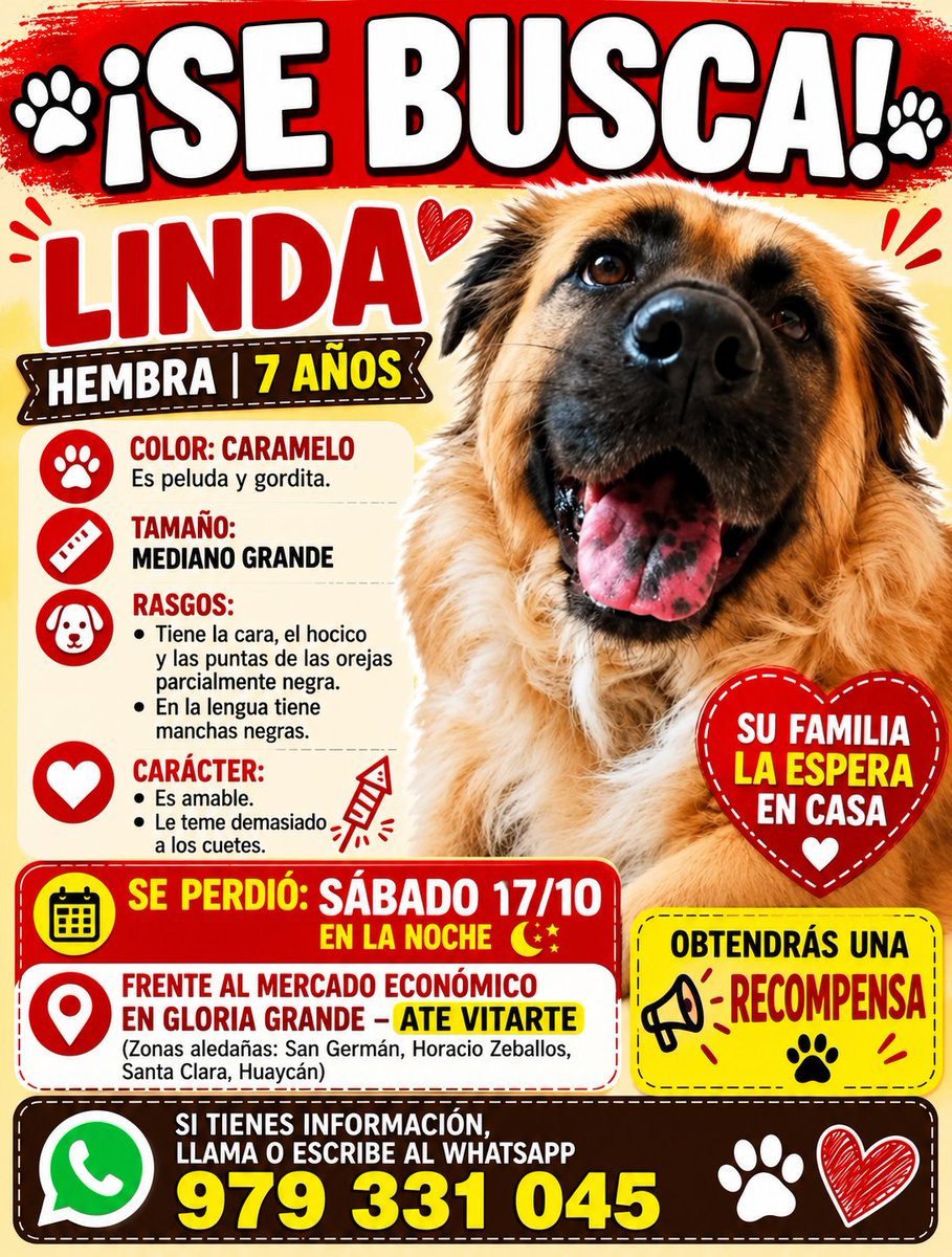PawFindr tweet picture