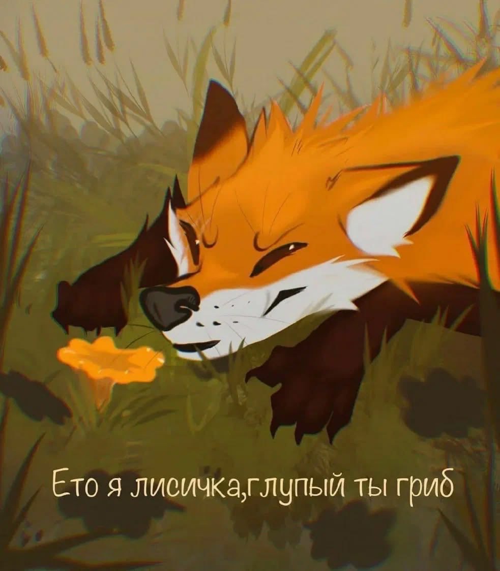 _Easy_please's tweet photo. Нет я https://t.co/ntD0PD1kd2