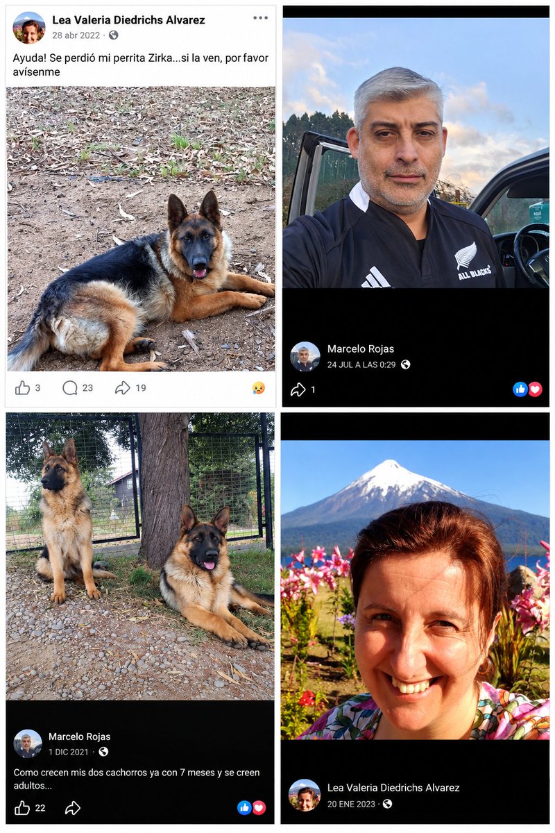 patobancoestafo's tweet photo. En #Valdiviacl, denuncian que un perrito fue llevado con un lazo junto a un vehículo, expuesto a ser atropellado.
Según el registro, la propietaria del vehículo es Lea Valeria Diedrichs Álvarez. Su esposo es Marcelo Rojas, alguacil de Carabineros y seguidor de Kast.
Exijo que se investigue este maltrato y se identifique a quien conducía.
#LeyCholito.
