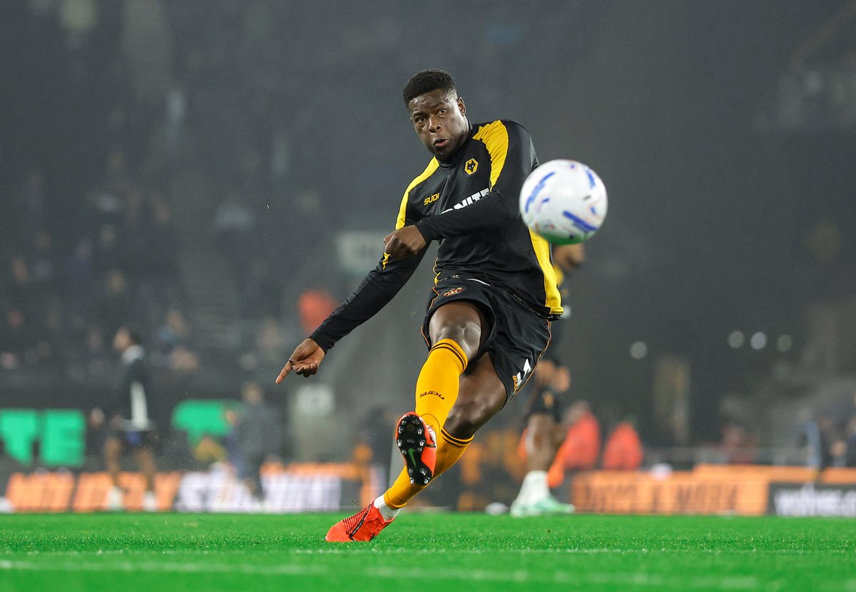 Wolves tweet picture