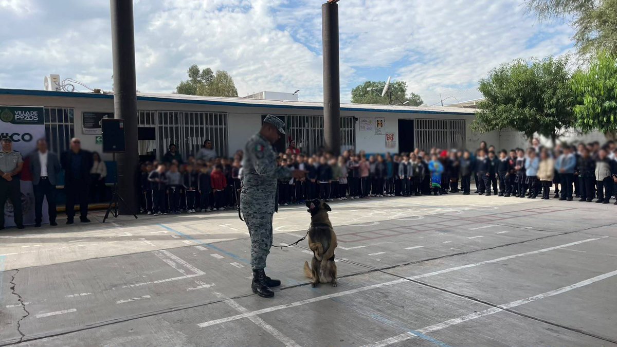 GN_MEXICO_'s tweet photo. La #GuardiaNacional llevo a cabo actividades lúdicas y exhibición de binomios caninos en una escuela de nivel básico en el municipio Villa de Pozos, #SLP. Con estas acciones estrechamos lazos con la población. #LaGuardiaNacionalEstaContigo https://t.co/iULlmlXfrL