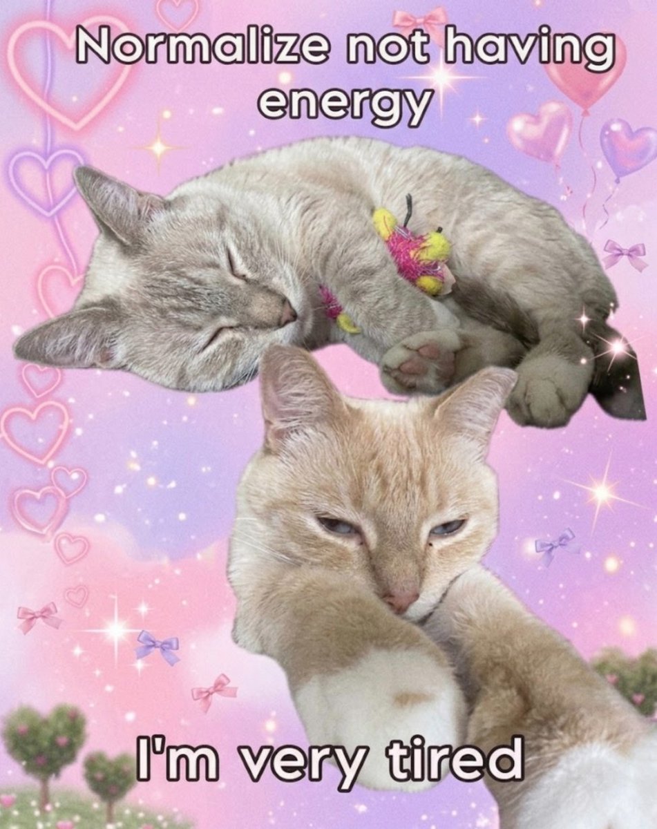 Meowversetwt's tweet photo. https://t.co/9ZonrxIFjJ