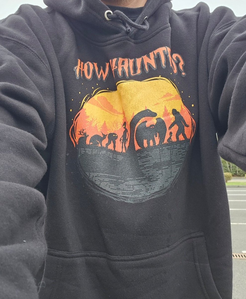HowHauntedPod's tweet photo. 11 days until Halloween 🎃 and 66 days until Christmas 🎅

Give someone, or yourself, a spooky treat with a How Haunted? hoodie or t-shirt 🍂 

Loads of designs, loads of colours &amp; sizes.

Why not take a look?

https://t.co/kzuEucxm5E

Change country + currency at bottom of page https://t.co/K6lvwhaYK5