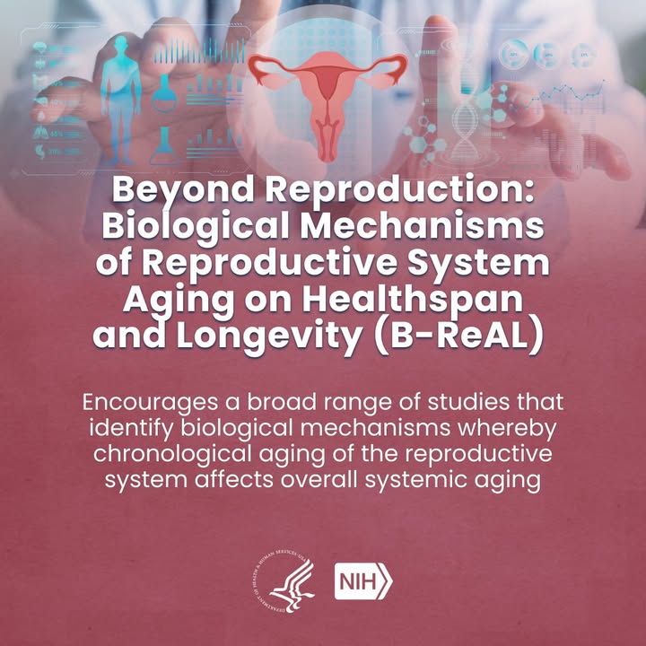 NIH's tweet photo. Basic scientists, data scientists, and clinicians: Help advance women's health research! Many NIH institutes, centers, and offices are participating in these new NIH Highlighted Topics focused on:
 
• Putting evidence into practice in women's health care https://t.co/oJAQOqlgRF
• Understanding how reproductive system aging affects health span and longevity https://t.co/vwBcaPDUpz
• Studying perimenopause as a distinct life stage https://t.co/H636evJzeu
• Understanding and addressing gynecologic procedural pain https://t.co/POCNsdgDAk
 
Stay tuned for more women's health highlighted topics, coming soon! 

Learn more: https://t.co/vF1NTJ2aH7