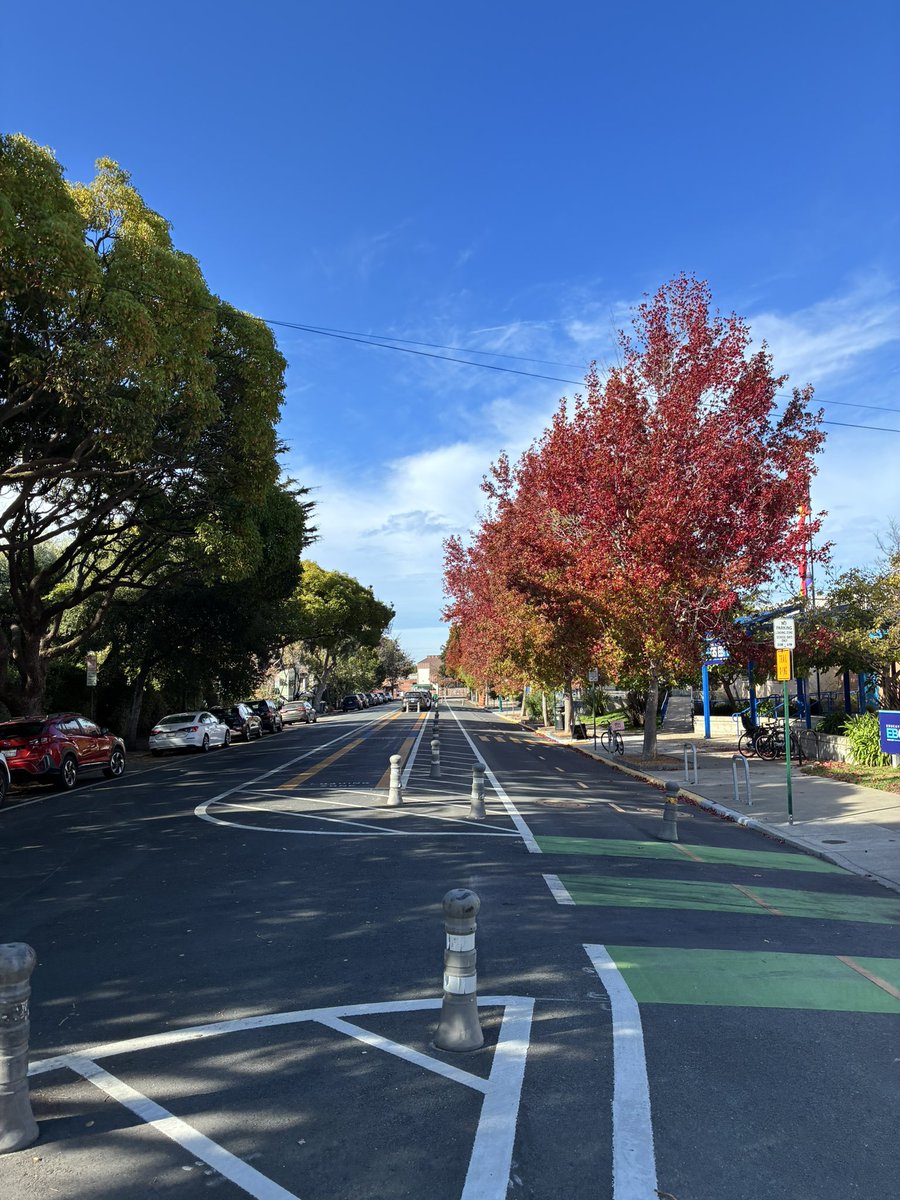 CVestergaard_'s tweet photo. Morning SF! Beauty of Fall, weather of Summer. https://t.co/UyUHlNrJsQ