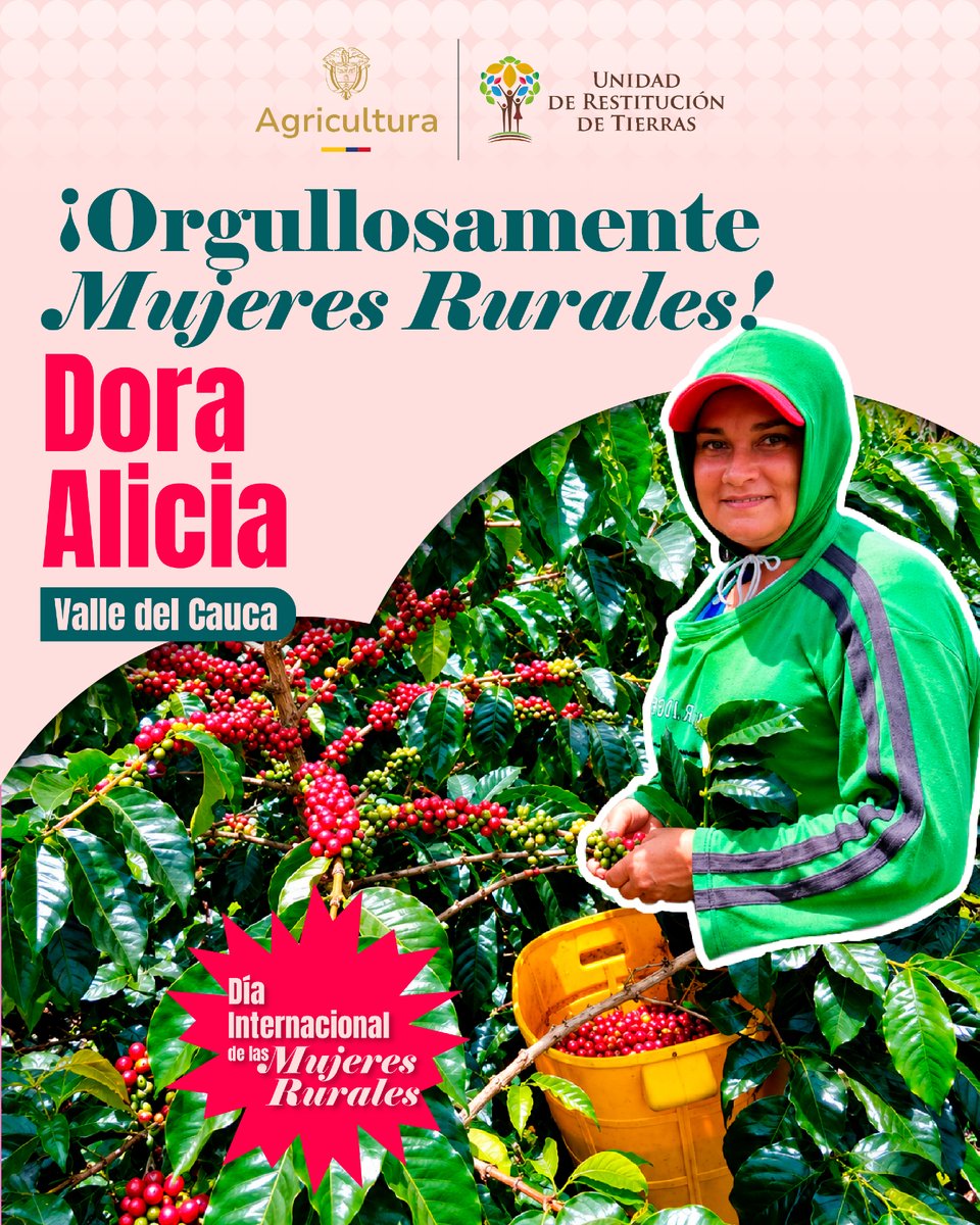 URestitucion's tweet photo. ☕ Detrás de cada cosecha hay una historia de esfuerzo, esperanza y nuevos comienzos.

📍 En el Valle del Cauca, Dora Alicia encontró en la restitución de tierras la oportunidad de recuperar lo que la violencia le arrebató y volver a sembrar sus sueños.
Hoy, sus cultivos de café y plátano son el reflejo de una mujer que nunca dejó de luchar por su tierra y sus derechos.

💚 En el marco del Mes de la Mujer Rural, desde la #URT destacamos historias como la suya, que nos recuerdan que restituir tierras también es abrir caminos para que las mujeres del campo construyan el futuro que merecen.

#OrgullosamenteMujeresRurales