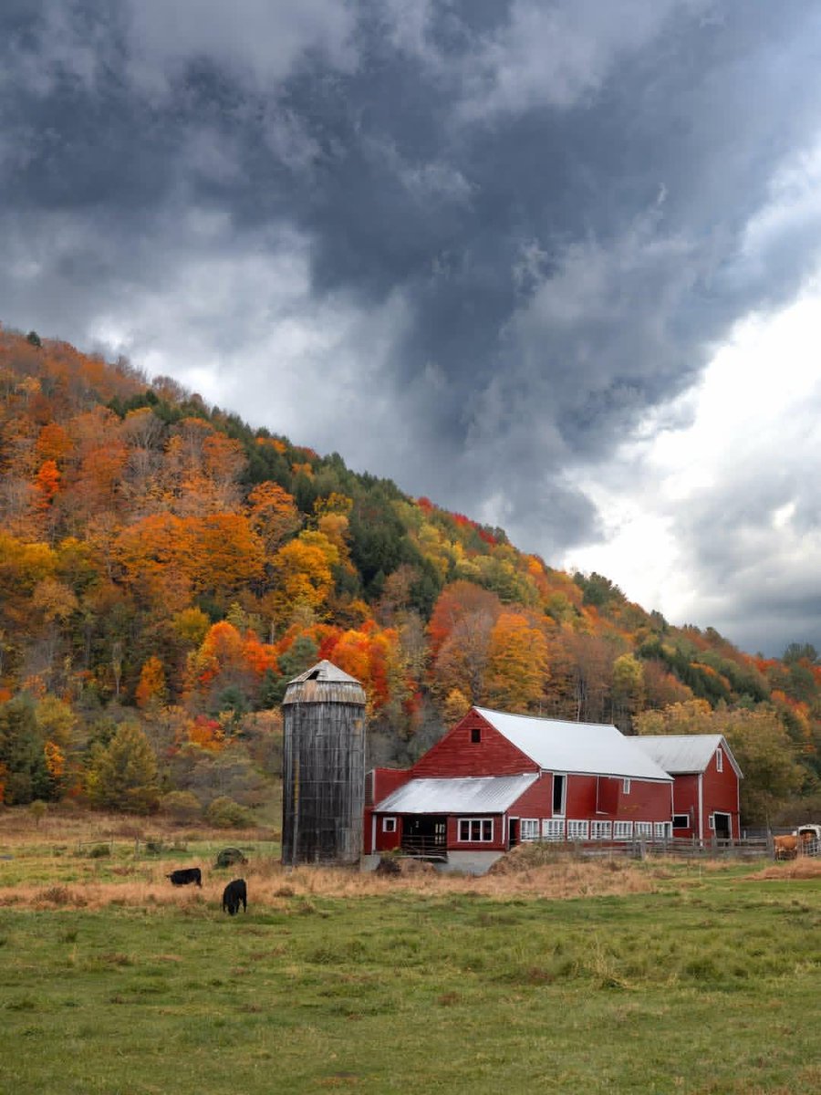 City_Nexa's tweet photo. Fall days in Vermont, USA 🇺🇸🍂 https://t.co/OrnKCgW8BL