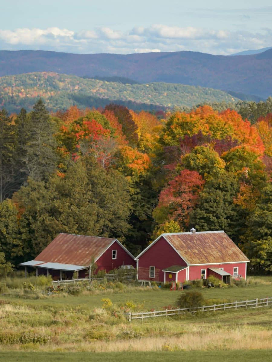City_Nexa's tweet photo. Fall days in Vermont, USA 🇺🇸🍂 https://t.co/OrnKCgW8BL