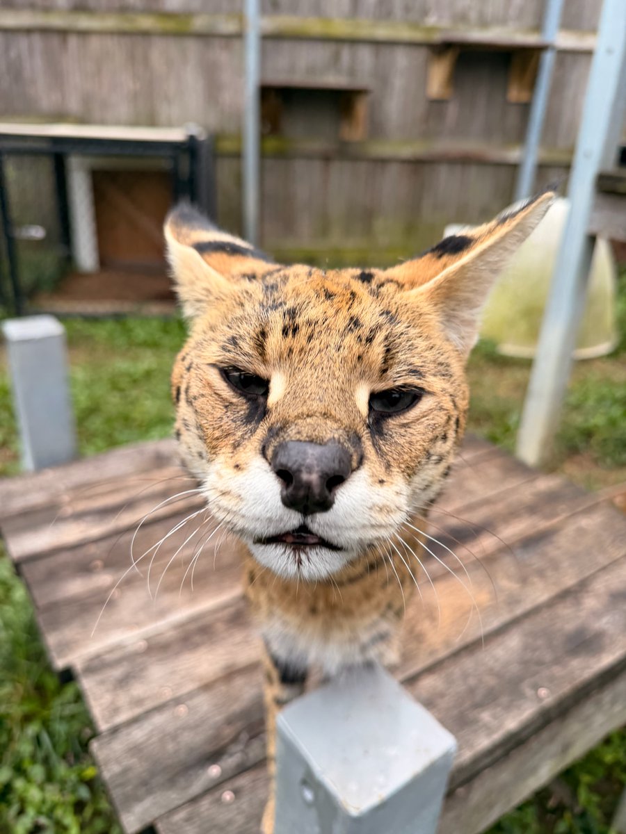 CincinnatiZoo tweet picture