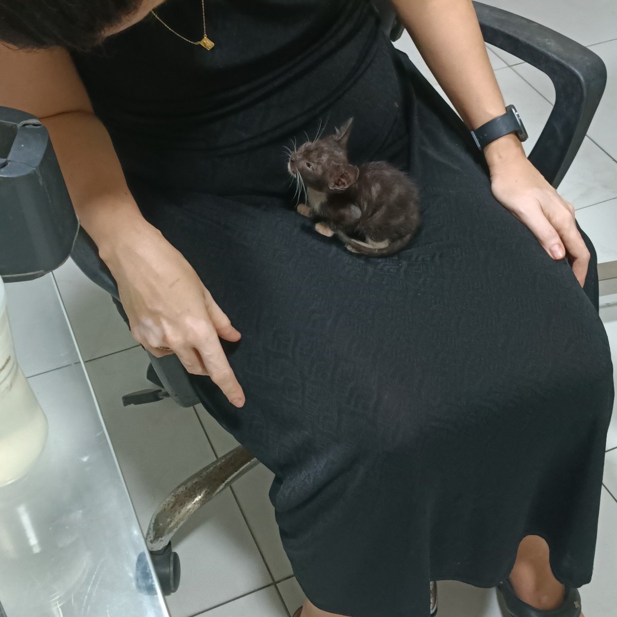 deardollonline's tweet photo. hoj foi a última injeção dele e ele ficou todo dengoso no colo da veterinária 

ele ta 100%, só falta melhorar da pele :D https://t.co/RDoCuRldew