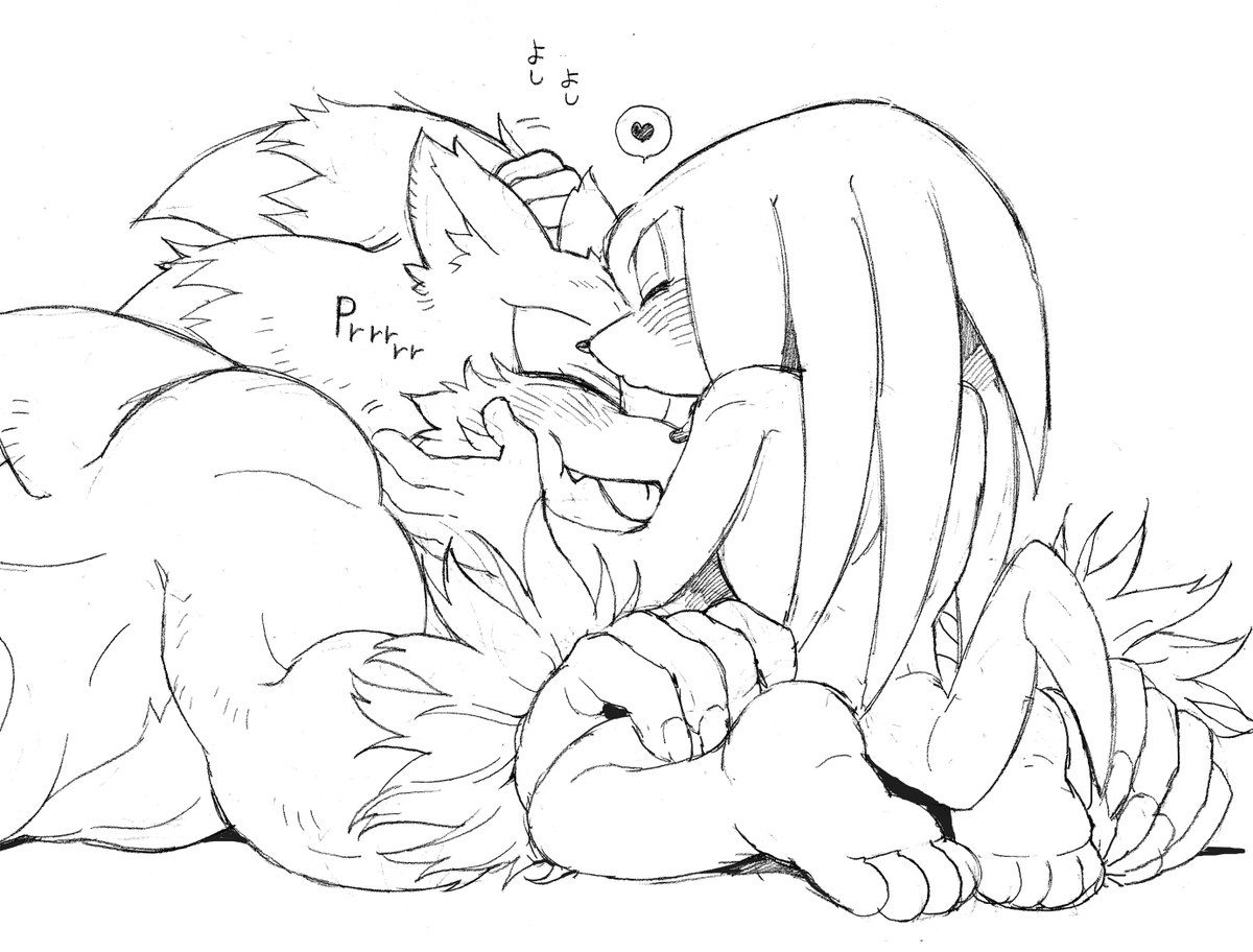 sk_rokuro's tweet photo. Prrrr #sonknux https://t.co/9dovZOclgm