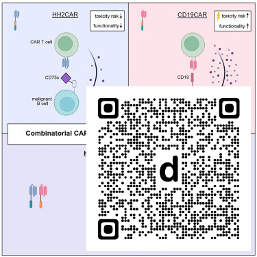 CellRepMed's tweet photo. Online now: Reviving low-affinity glycan-targeting CAR with combinatorial design dlvr.​it/TW0CcW https://t.co/xT3WwskaAH