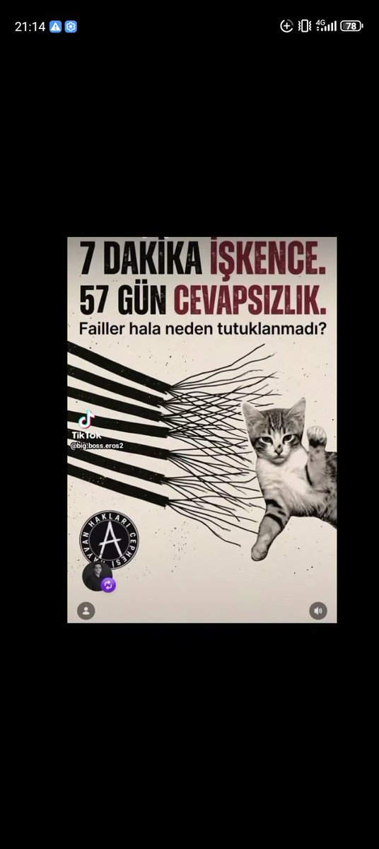 JeglogGogmog's tweet photo. Neden???? https://t.co/fQHZmA8dlu