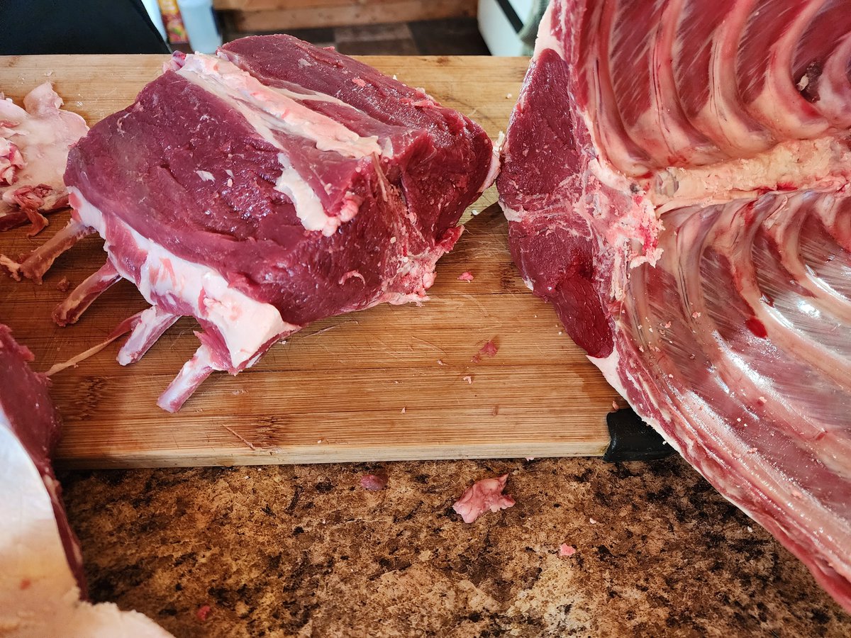 AliciaAmarilyn's tweet photo. Butchering day!🦌

Family tradition is watching lotr while butchering our game.. for the thousandth time😄 https://t.co/aZgRMzcEfK