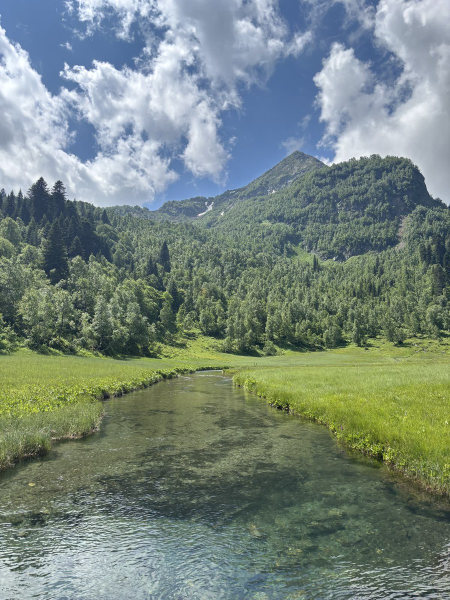 greenvibe's tweet photo. This place is enough for peace https://t.co/AmHkbr6VQO