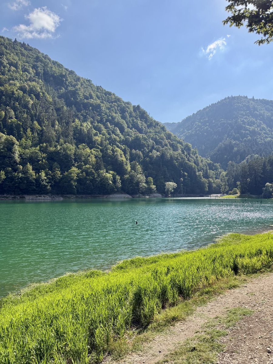 greenvibe's tweet photo. This place is enough for peace https://t.co/AmHkbr6VQO