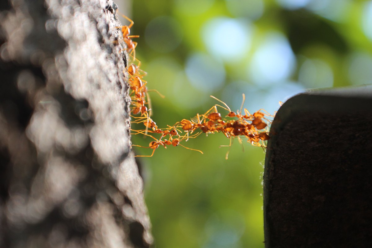 palladiummag's tweet photo. Measuring the Swarm Economy

Existing AI benchmarks fail to measure the growing capabilities of multi-agent systems. New metrics are needed as these systems begin to reshape society.

Read the new article by Gavin Morrison (link below):