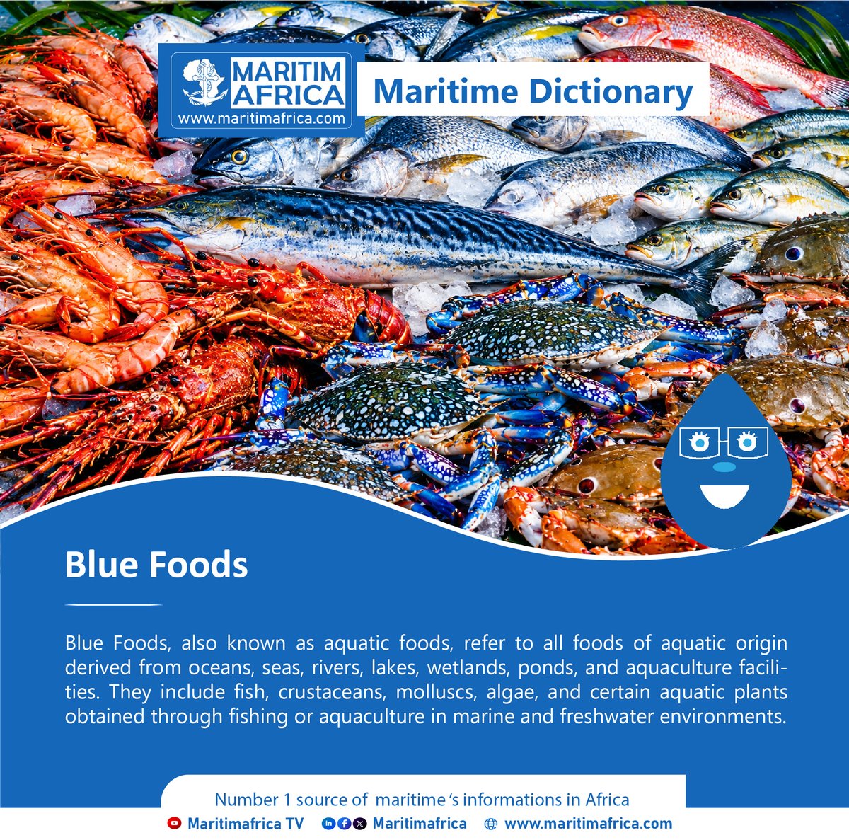 maritimafrica's tweet photo. Maritime Dictionary : Blue Foods

#maritimafrica #dictionary #maritime #marine #BlueFoods #aquatic https://t.co/1dP6IbeSQT