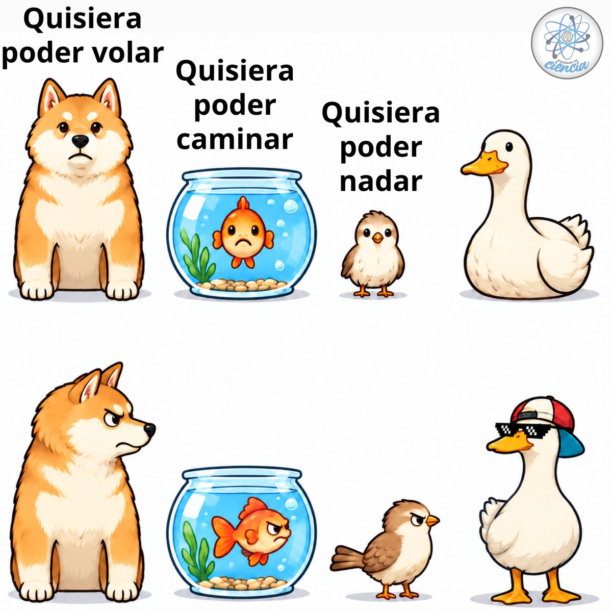 EnsedeCiencia's tweet photo. 😎🤙🤙 https://t.co/7c4Vk2YwVJ