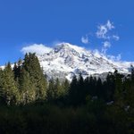 Photo by Visit Rainier (@visitmtrainier)