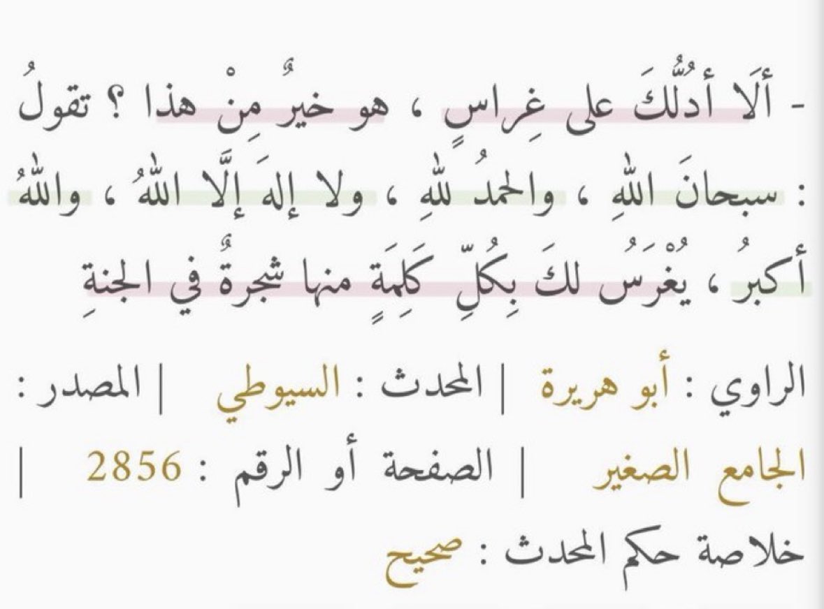 Allah_111_'s tweet photo. 🤎 https://t.co/wy8heTiyvo