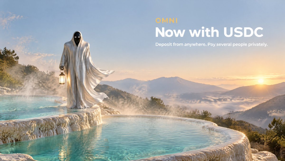 omnizec's tweet photo. Our devnet pool now takes USDC:

• A USDC pool next to SOL, with free test USDC on the page
• Deposit from anywhere: pay a one-time address from an exchange or any wallet, and yours never shows
• Pay several people privately, one line each

Try it free: https://t.co/Z6HBjqdRk4 https://t.co/GwNQypLH8p