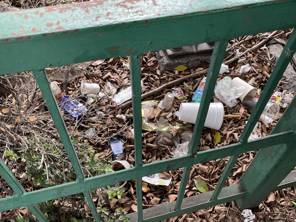 IsabelJunco's tweet photo. @BJAlcaldia  @AccionesBJ  @LuisMendozaBJ  la banqueta de parroquia afuera de Walmart. Lleno de basura  🤮 https://t.co/Mpdug5kdYA