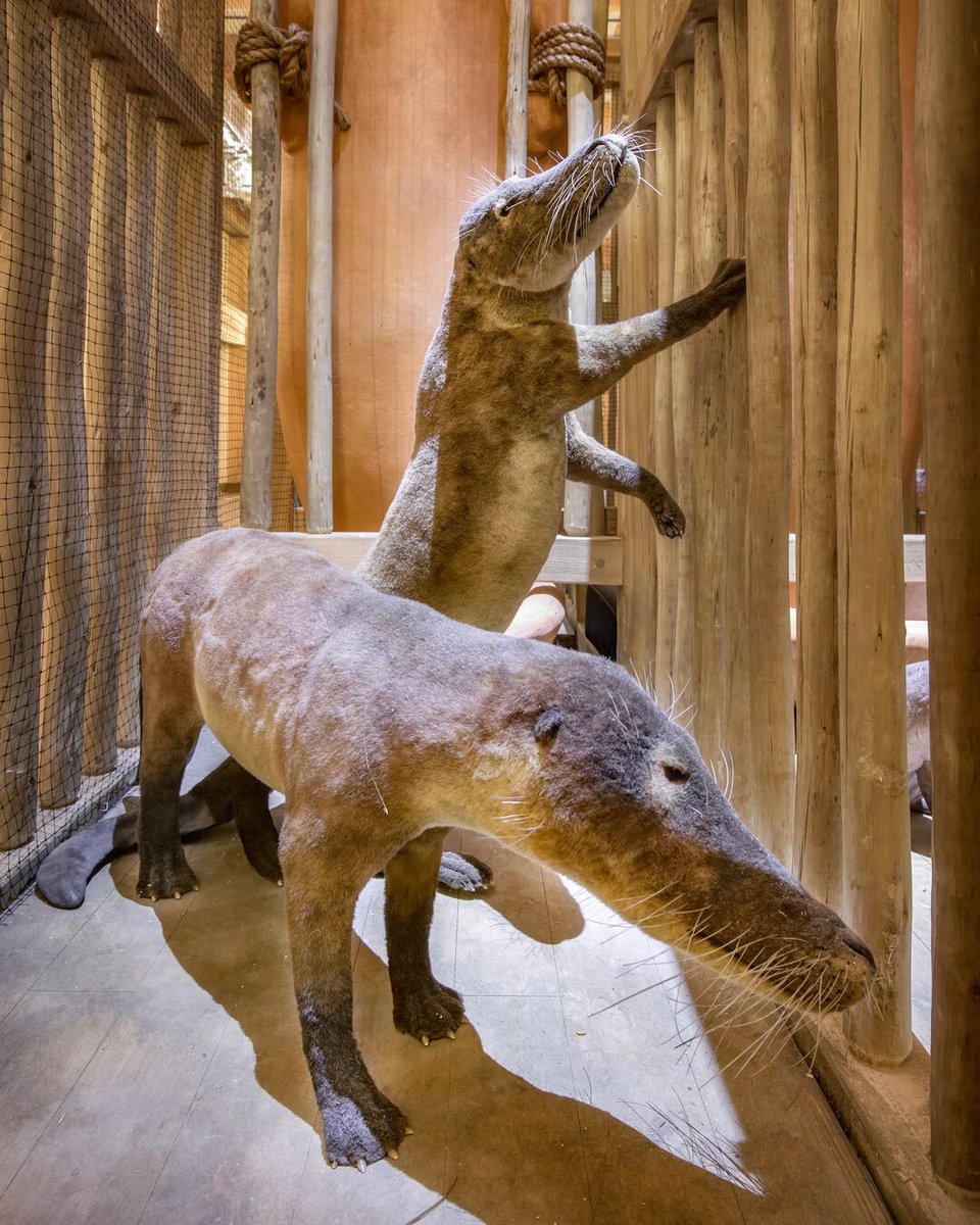 ArkEncounter tweet picture