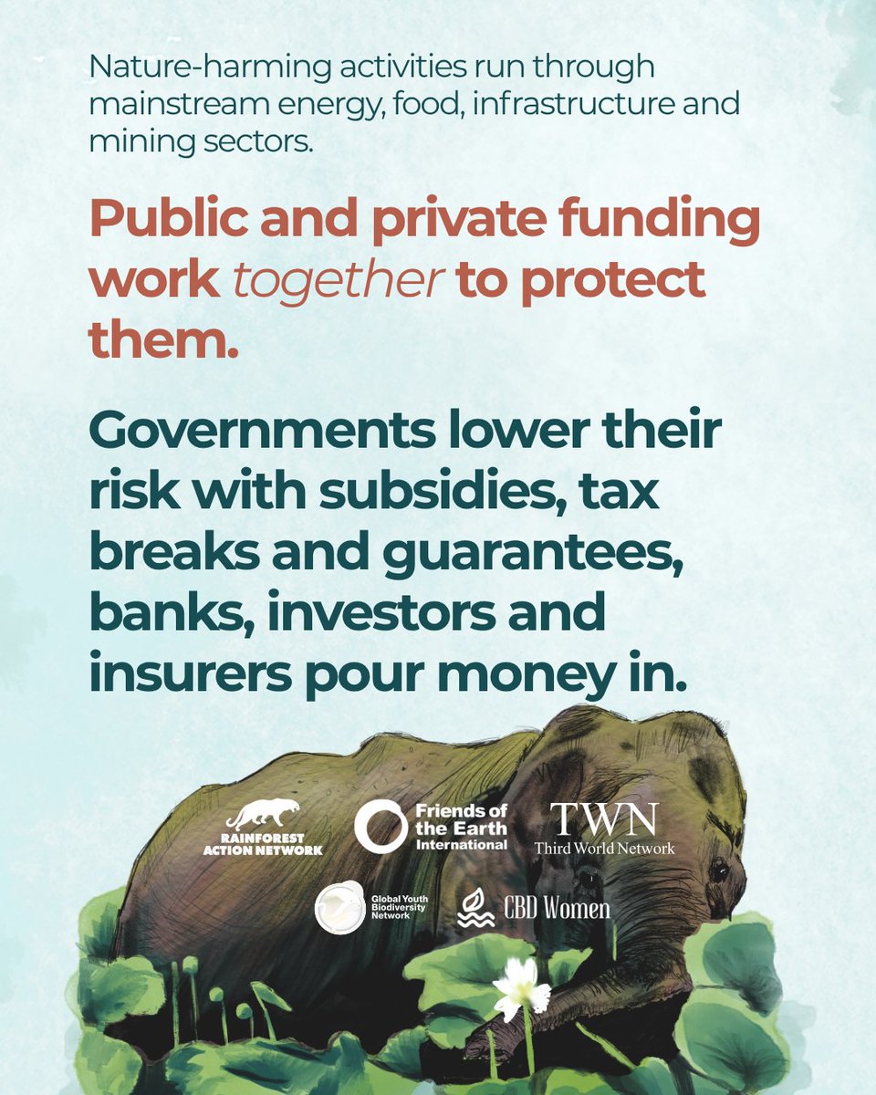 3rdworldnetwork's tweet photo. Tom Picken, of Rainforest Action Network, examines how financial systems continue to reward biodiversity destruction, often with little accountability.

Read 𝑊𝑒 𝑁𝑒𝑒𝑑 𝑡𝑜 𝑇𝑎𝑙𝑘 𝐴𝑏𝑜𝑢𝑡 𝑡ℎ𝑒 𝐸𝑙𝑒𝑝ℎ𝑎𝑛𝑡𝑠 𝑖𝑛 𝑡ℎ𝑒 𝑅𝑜𝑜𝑚 report 🔗 https://t.co/9hvy07Nyoo https://t.co/roy8DihGFs