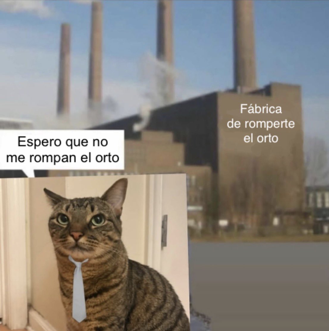 mitakita_carp's tweet photo. Yendo a la facultad https://t.co/mPOldoGd2O
