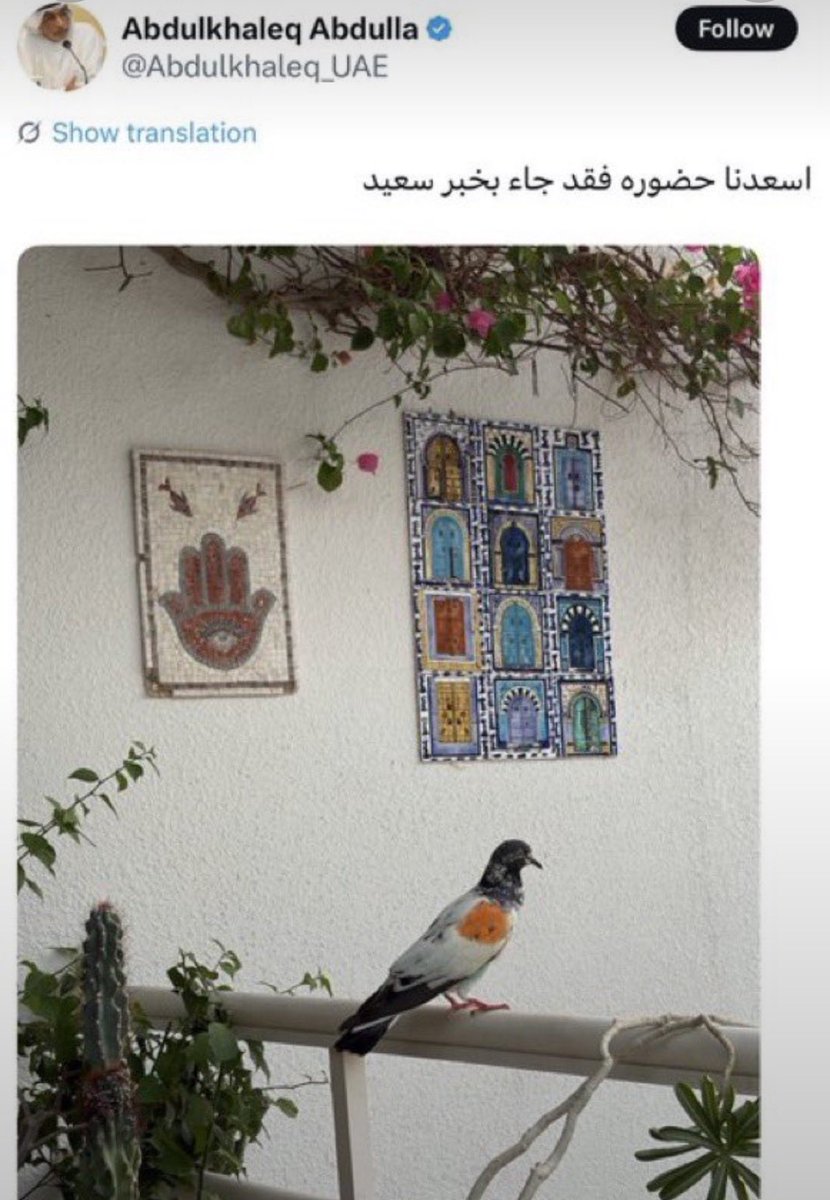 Abeer70777's tweet photo. @hvmvad @Itsmoonkissed اول شي السعودي مايتمسكن لابنت ولا ولد الشي الثاني انتم منسعرين ومنقهرين هذي ايش !! رد عليها https://t.co/gc3iIyo6ma