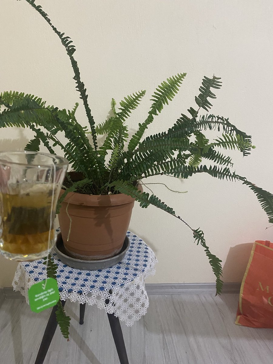 kullaniciasll's tweet photo. Anlık😌💚🍵 https://t.co/XRnChxiqKV