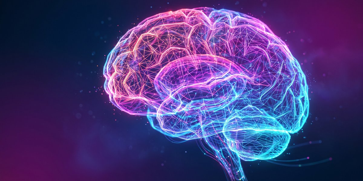 PsyPost's tweet photo. Animal studies have described “low road” pathways that rush sensory information from the thalamus to the amygdala. A brain imaging study of 113 people now maps several such routes in humans, with some far more consistent than others. dlvr.​it/TW0FBT https://t.co/X7w2eQRpNc